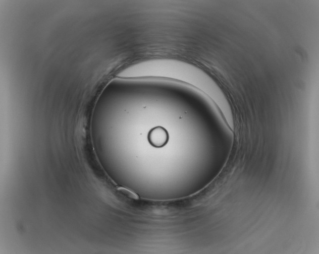 X0000114130264200910221510