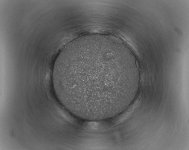 X0000114130265200910221510