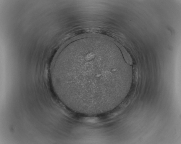 X0000114130266200910221510