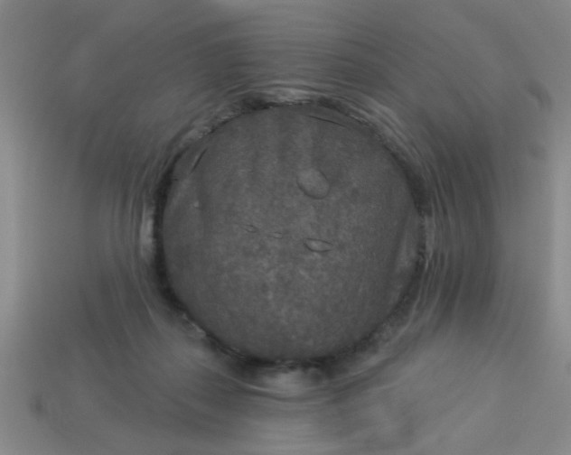 X0000114130267200910221510