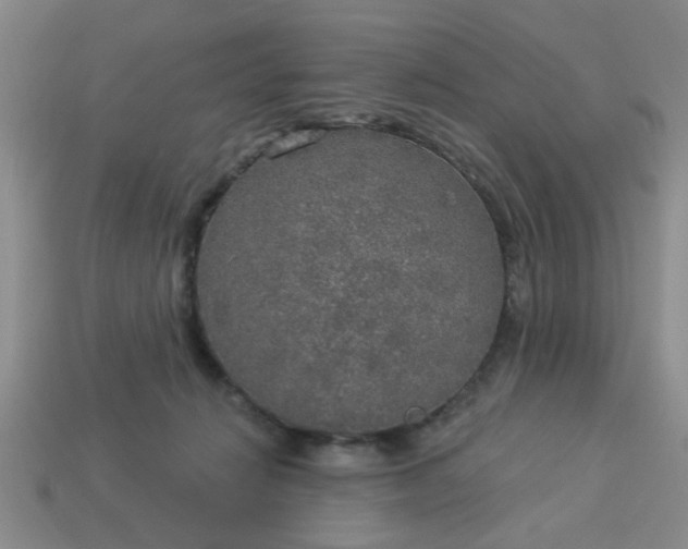 X0000114130270200910221510