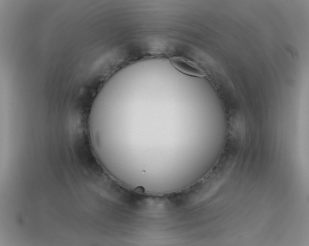 X0000114130272200910221511