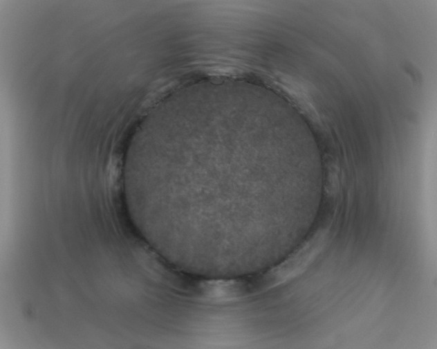 X0000114130273200910221511