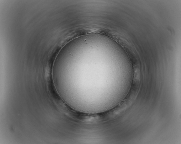 X0000114130274200910221511