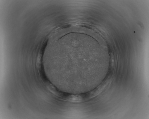 X0000114130275200910221511