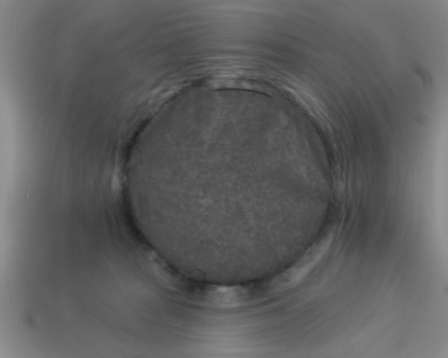 X0000114130277200910221511