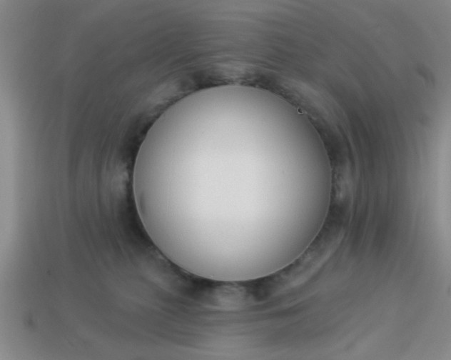 X0000114130279200910221511