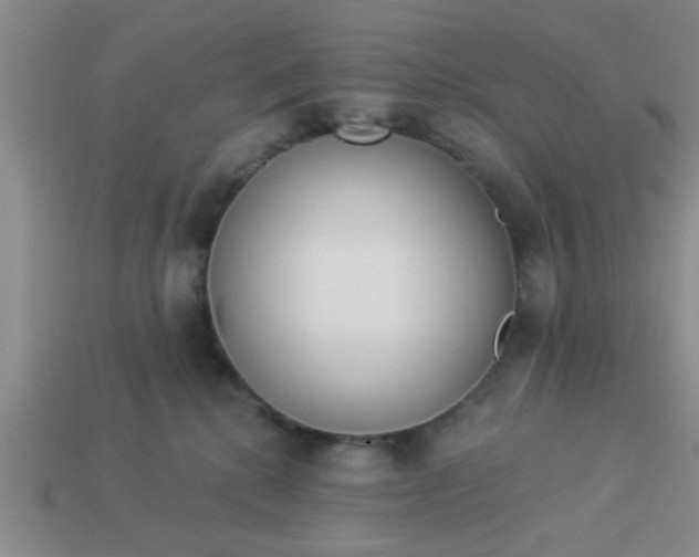 X0000114130280200910221511