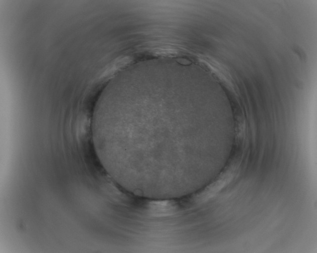 X0000114130281200910221511