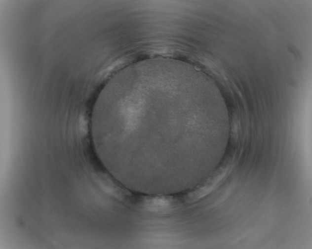 X0000114130282200910221511