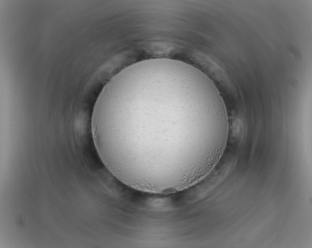 X0000114130283200910221511