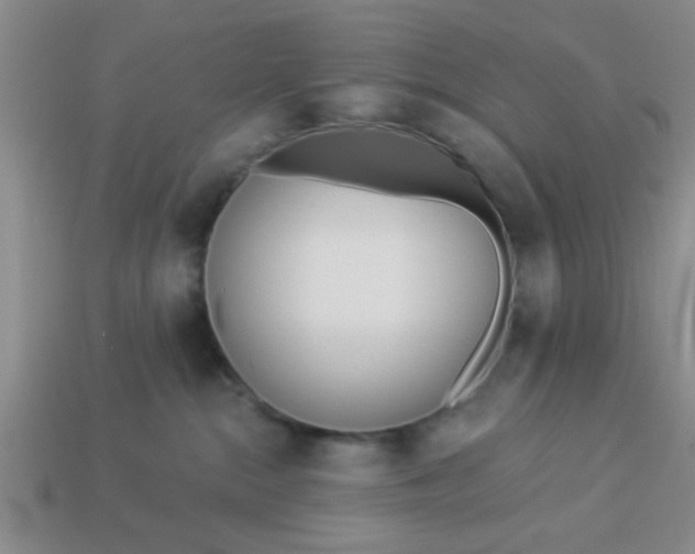 X0000114130284200910221511