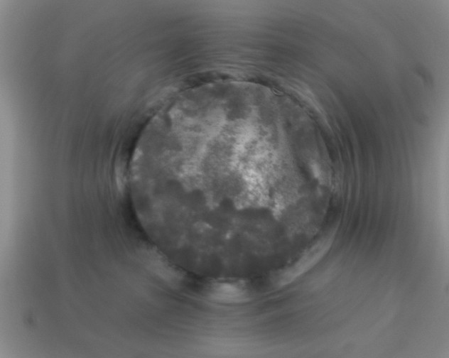 X0000114130285200910221511