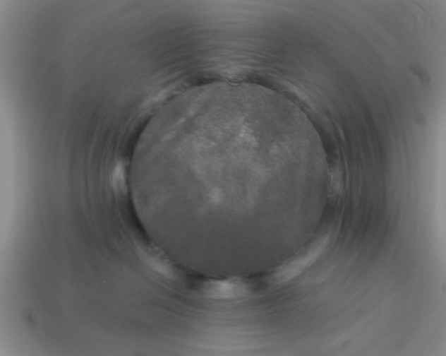 X0000114130286200910221511