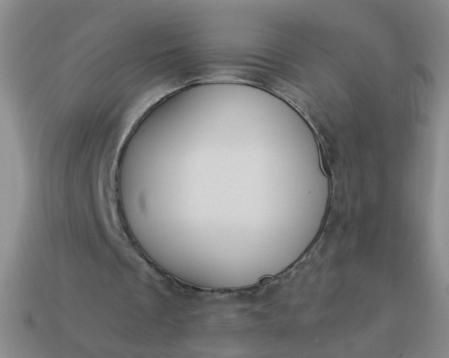 X0000114130289200910221510