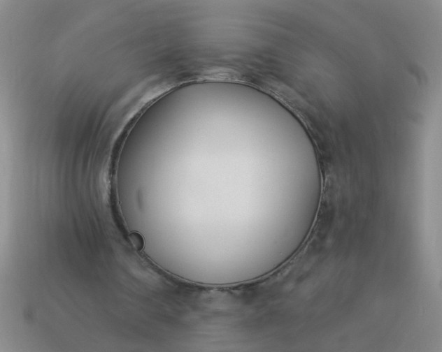 X0000114130290200910221510