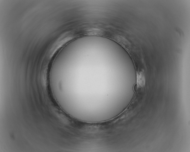 X0000114130291200910221510