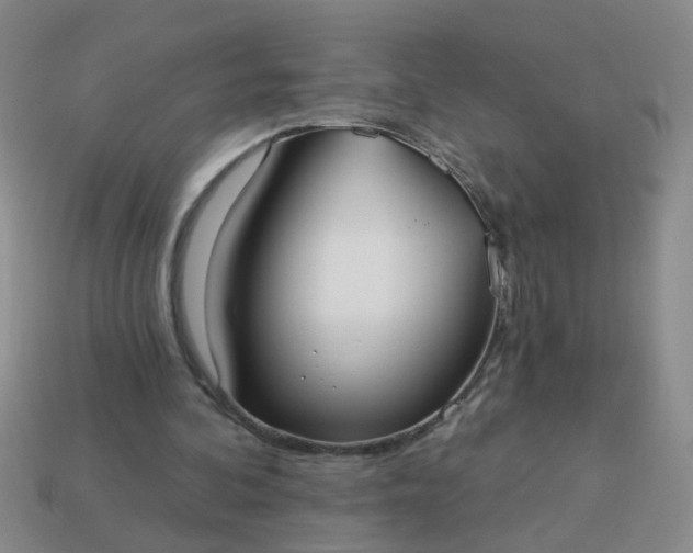 X0000114130292200910221510