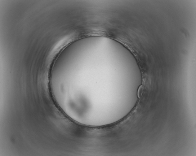 X0000114130293200910221510