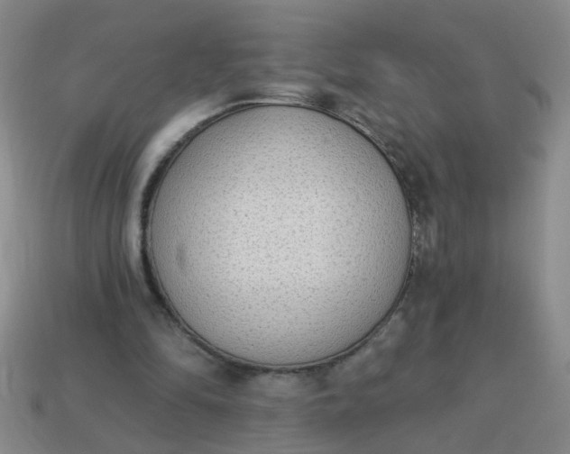 X0000114130294200910221510