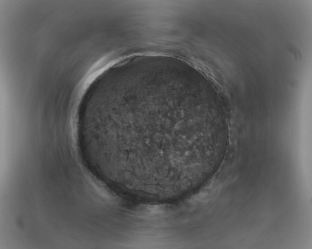 X0000114130295200910221510