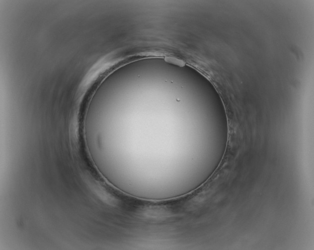 X0000114130296200910221510