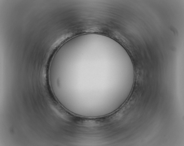 X0000114130298200910221510