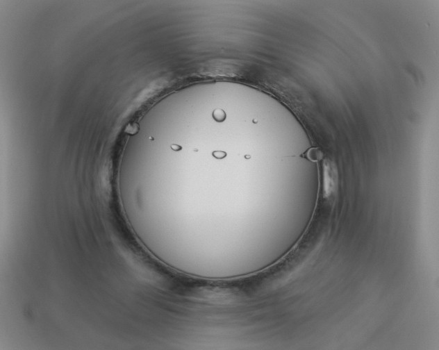 X0000114130300200910221510