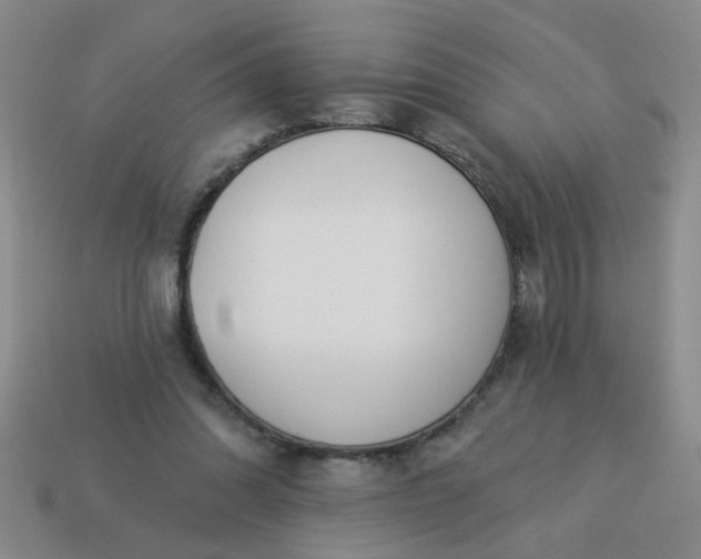 X0000114130302200910221510