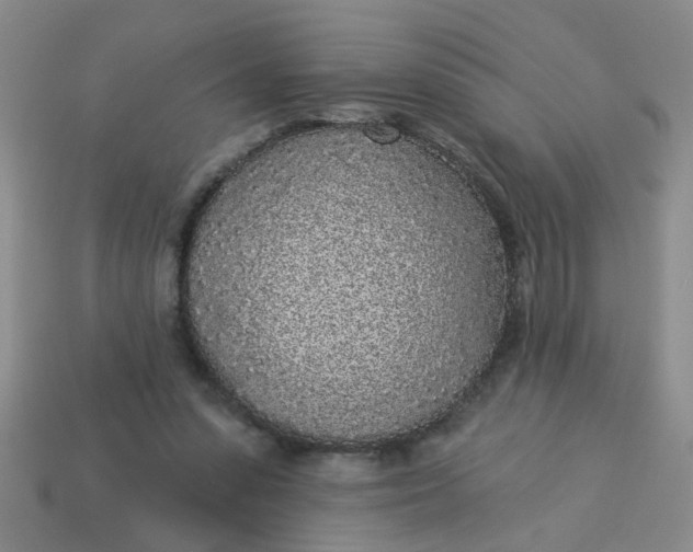 X0000114130303200910221510