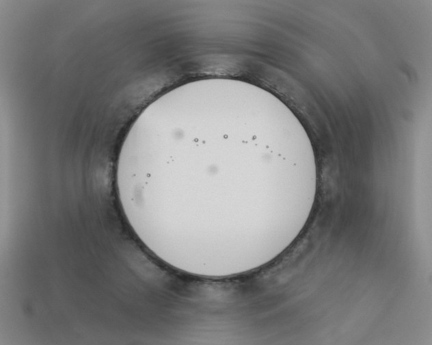 X0000114130305200910221510