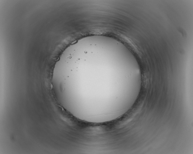 X0000114130307200910221510