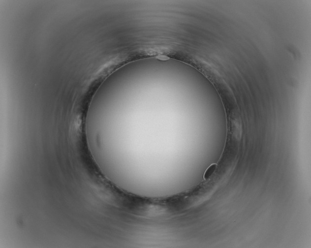 X0000114130308200910221510