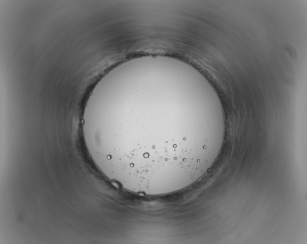 X0000114130309200910221510