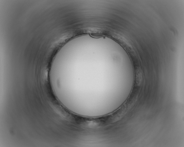 X0000114130310200910221510