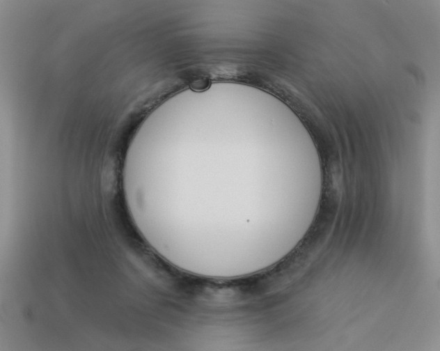 X0000114130311200910221510