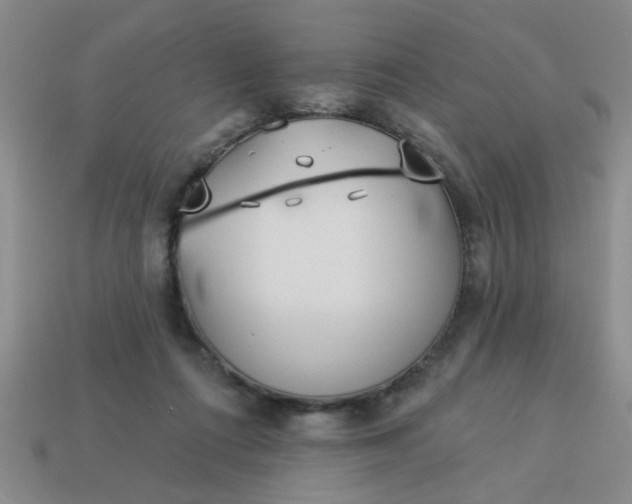 X0000114130312200910221510