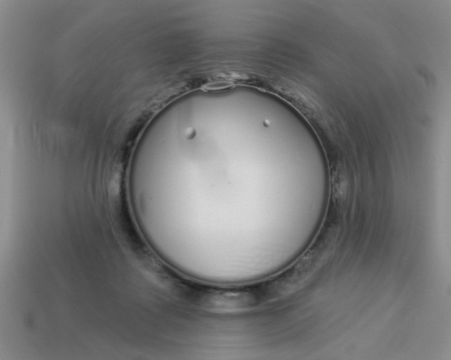 X0000114130315200910221510