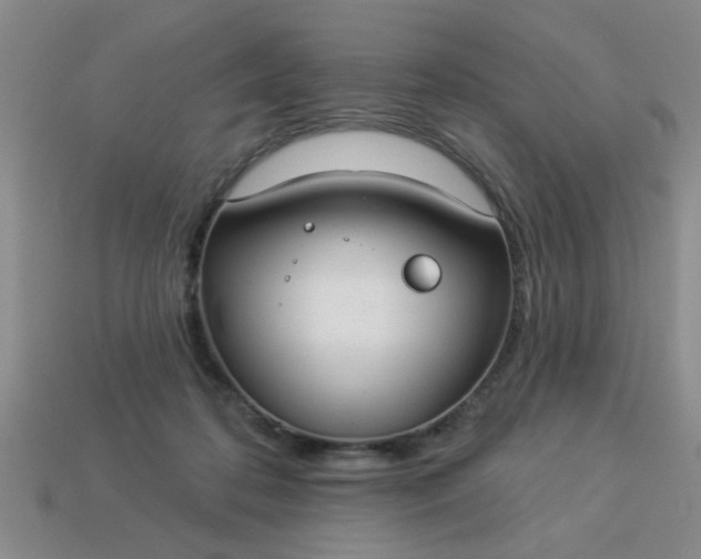 X0000114130316200910221510