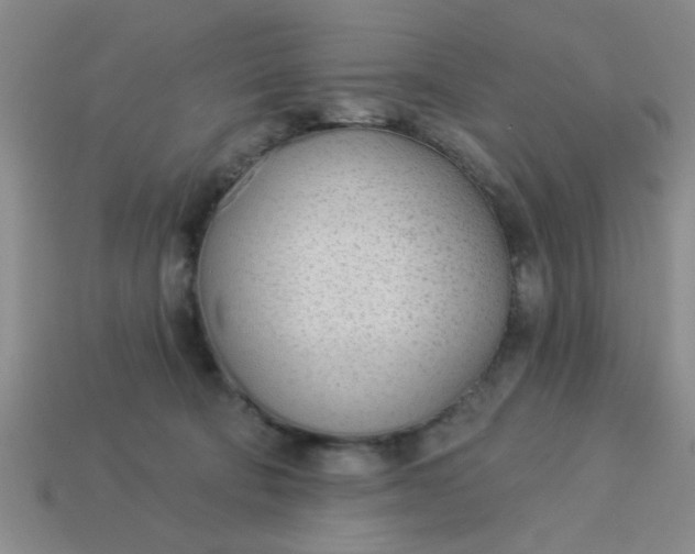 X0000114130322200910221510