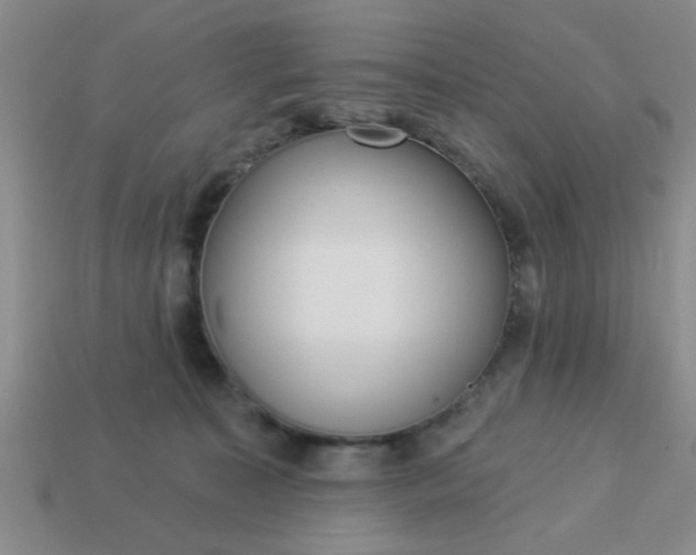 X0000114130323200910221510