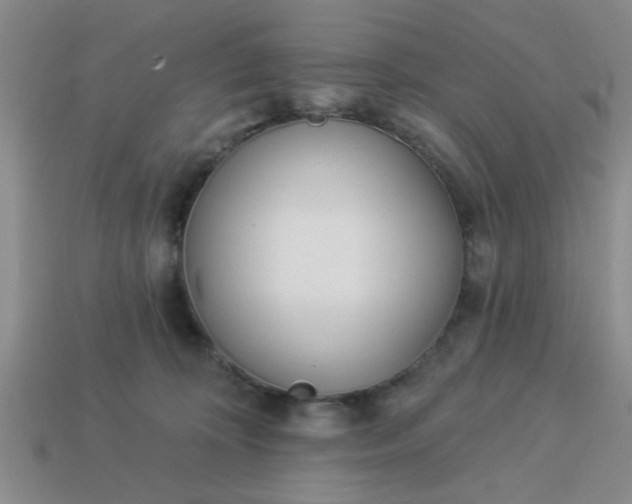 X0000114130324200910221510