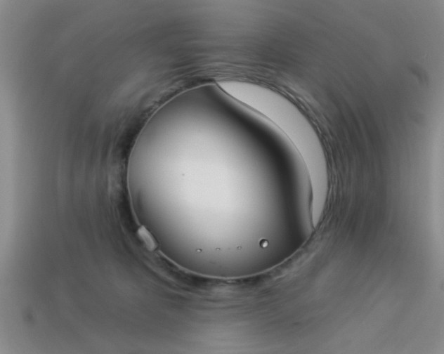 X0000114130325200910221510