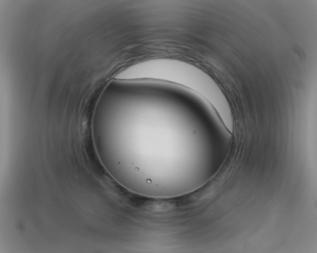 X0000114130327200910221510