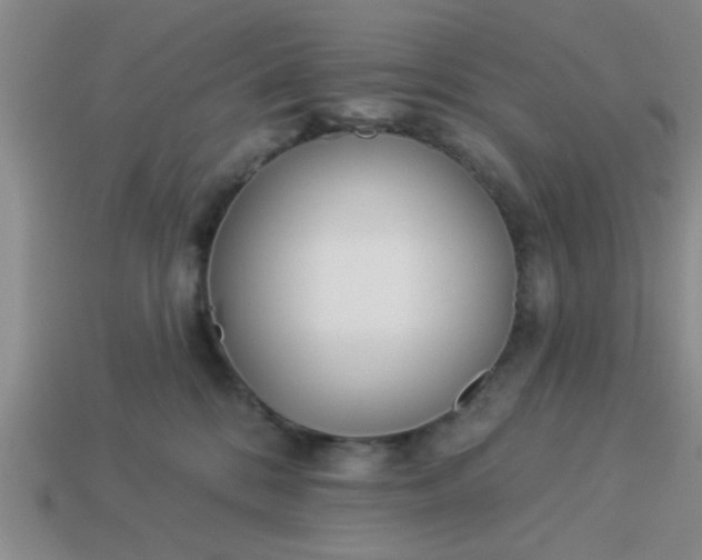 X0000114130328200910221510