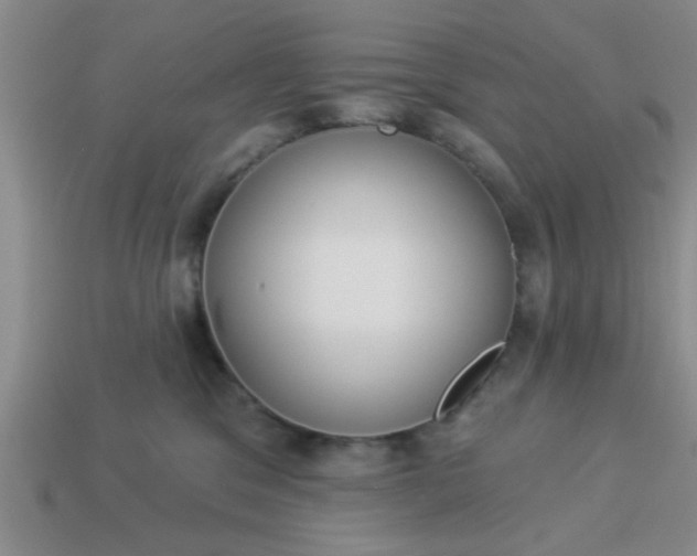 X0000114130329200910221510