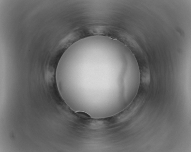 X0000114130332200910221510