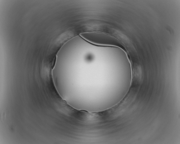 X0000114130333200910221510