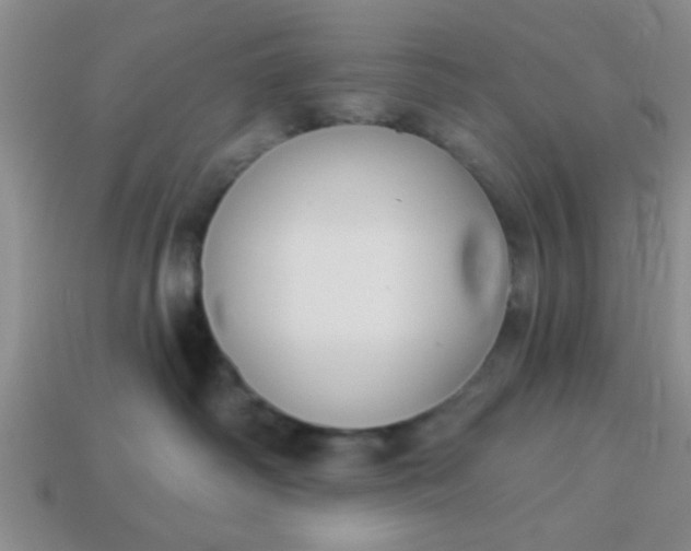 X0000114130334200910221510