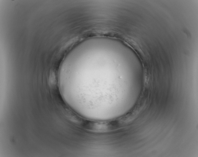 X0000114130335200910221510